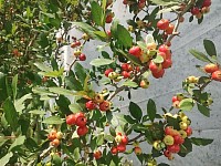 What we have to offer